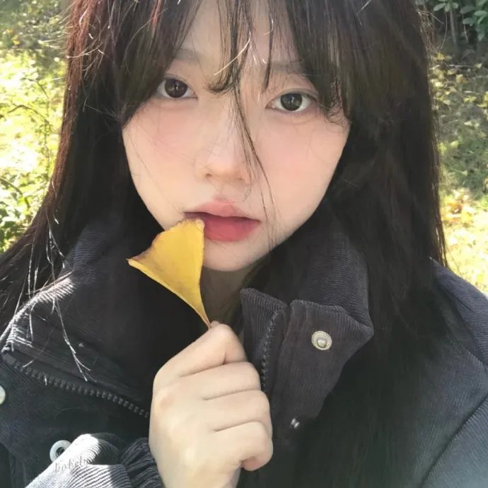 青春环游记第四季